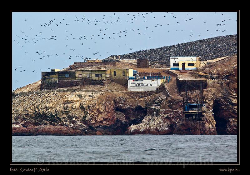 Ballestas Islands 036.jpg